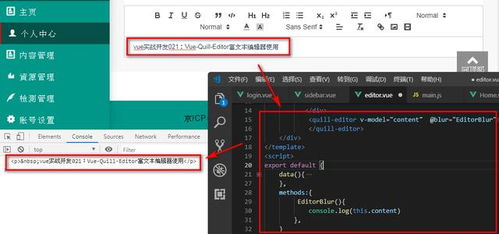 Vue实战 Vue Quill Editor富文本编辑器使用指南 - 许昌鲤鱼IT编程教育
