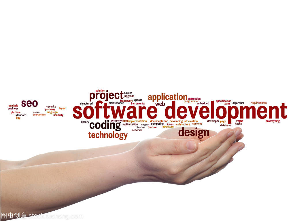 驾驭软件开发项目 从构想到交付的全流程解析